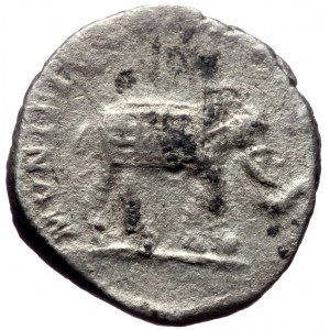 Septimius Severus (193-211) AR Denarius (Silver, 17mm, 3.39g) Rome, 196.