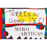 Joan Miro (1893 Barcelona - 1983 Palma de Mallorca), Terres de grand feu, 1956