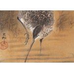 Ohara Koson, Brodzący bekas
