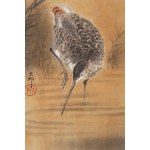 Ohara Koson, Wattschnepfe