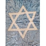 Banner in the Star of David. From the collection of Rabbi of Poland Zew Wawa Morejno.
