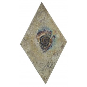 Poland, Badge of Wyższa Oficerska Szkola Radiotechniczna Im Kpt. Sylwestr Bartosiak