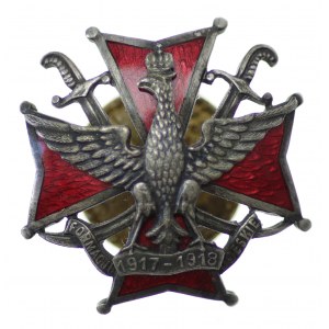 II RP Odznaka Pamiątkowa Formacji Odeskich - wtórnik/kopia ?