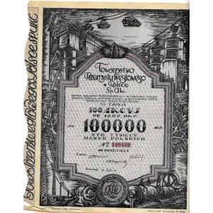 Polska, Towarzystwo przemysłu węglowego w Polsce 1923, 100 akcji po x 1.000 marek polskich, V emisja