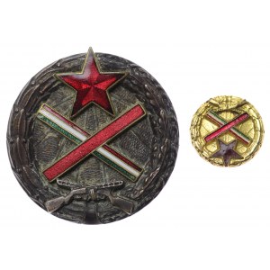 Węgry, Odznaka partyzantów węgierskich (niski numer 980) i miniatura odznaki z numerem 5932