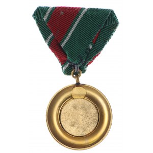 Węgry, Medal Zasługi Straży Celnej i Finansowej złoty. Nadawany w latach 1966-1977 - rzadki