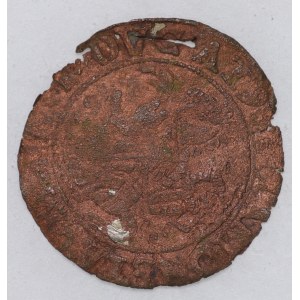 Polska, Zygmunt II August Falsyfikat z epoki