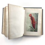 La Blanchere Henri de, Dumeril Auguste - La Pêche et les poissons: nouveau dictionnaire général des pêches. Liczne litografie ryb.