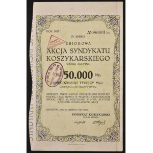 Syndykat Koszykarski S.A., 100 x 500 mkp, Emisja IV