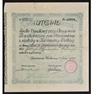 Spółka Handlowa przy Okręgowym Towarzystwie Rolniczym powiatu Pinczowskiego, udział 15.000 mkp