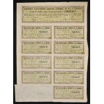 Pomorska Elektrownia Krajowa Gródek S.A., 100 libier 1931 a čiastková akcia 10 libier (sada 2 kusov).