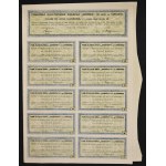 Pomorska Elektrownia Krajowa Gródek S.A., 100 libier 1931 a čiastková akcia 10 libier (sada 2 kusov).