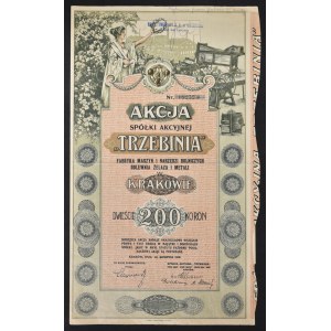 Trzebinia S.A. Fabryka Maszyn i Narzędzi Rolniczych Odlewnia Żelaza i Metali, 200 koron 1919