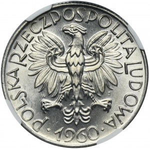 5 złotych 1960 Rybak - NGC MS66