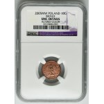 PRÓBA BRĄZ, 10 groszy 2005 - NGC UNC DETAILS - BARDZO RZADKIE