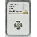 Sigismund II August, 2 Denarius Vilnius 1570 - NGC MS62