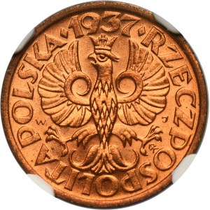 1 grosz 1937 - NGC MS65 RD