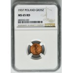 1 grosz 1937 - NGC MS65 RD