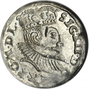 Žigmund III Vaza, Trojak Poznaň 1597 - dátum oddelený kvetom