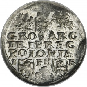 Žigmund III Vaza, Trojak Poznaň 1597 - dátum oddelený kvetom
