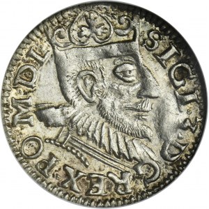 Sigismond III Vasa, Trojak Poznań 1594 - visage allongé
