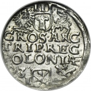 Žigmund III Vaza, Trojak Poznaň 1593 - široká tvár