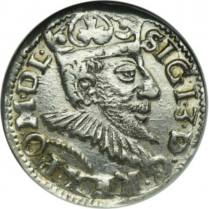 Sigismond III Vasa, Trojak Poznań 1594 - visage allongé