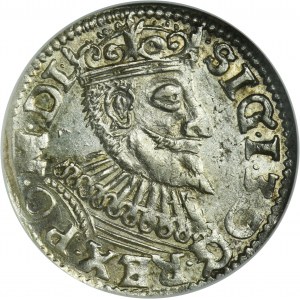Sigismond III Vasa, Trojak Poznań 1596
