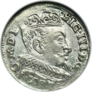Žigmund III Vasa, Trojka Vilnius 1595