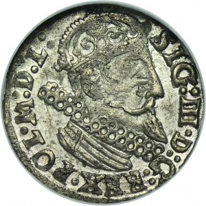 Žigmund III Vasa, Trojak Krakov 1624