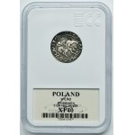 Sigismund II August, 3 Groschen Vilnius 1562 - L/LI