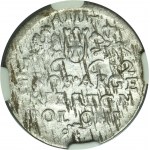Ján II Kazimír, Trojak Krakov 1662 AT - NGC AU50