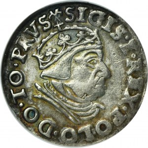 Sigismund I the Old, 3 Groschen Danzig 1539 - PRVS