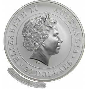 Australia, Elizabeth II, 30 Dollars Perth 2013 P - Koala - 1 kg of silver