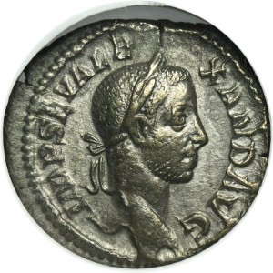 Roman Imperial, Severus Alexander, Denarius