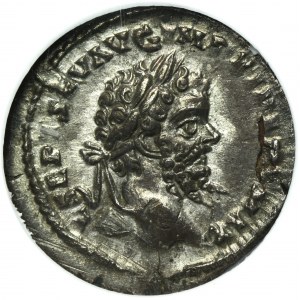 Empire romain, Septime Sévère, Denier