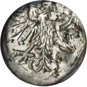 Sigismund II August, Denarius Vilnius 1559
