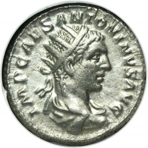 Roman Imperial, Elagabalus, Antoninianus