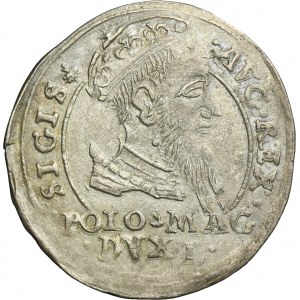 Sigismund II August, Groschen Vilnius 1567 - L/LIT