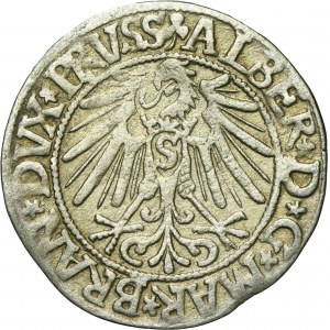 Duchy of Prussia, Albert Hohenzollern, Groschen Königsberg 1545 - PRVSS