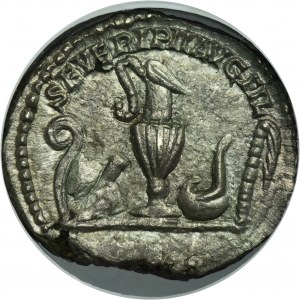 Roman Imperial, Geta, Denarius