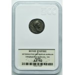Roman Imperial, Antoninus Pius, Denarius