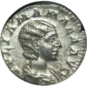 Roman Imperial, Julia Mamaea, Denarius