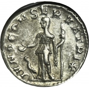 Roman Imperial, Julia Mamaea, Denarius