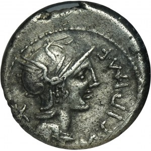 Roman Republic, M. Cipius M. f., Denarius 115 BC