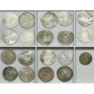 Lot, Poland and Riga under Sweden, Schilling, 1/2 Groschen and Groschen (19 pcs.)