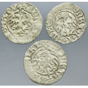 Lot, John I Albert, 1/2 Groschen (3 pcs.)