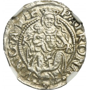 Hungary, Ferdinand I, Kremnitz 1553 - NGC MS63