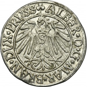 Duchy of Prussia, Albrecht Hohenzollern, Groschen Königsberg 1541 - PRVSS