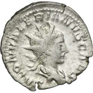 Roman Imperial, Saloninus, Antoninianus